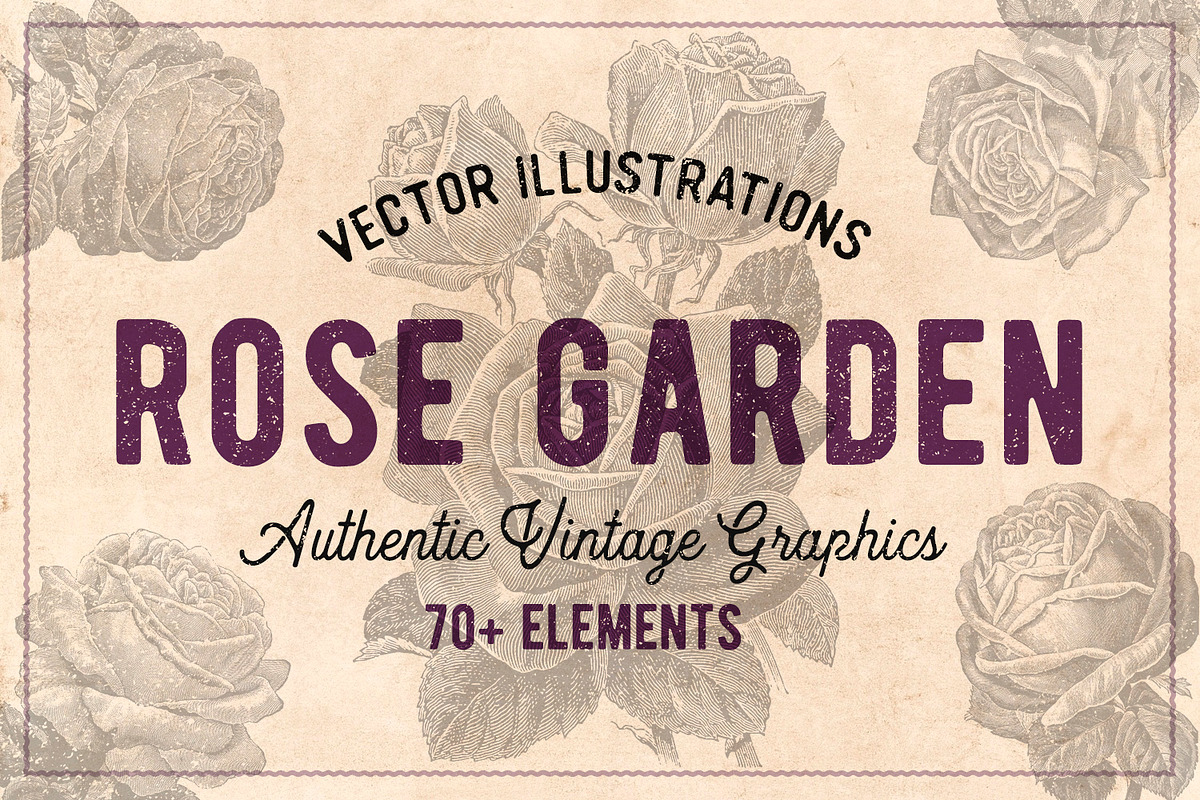 70 Vintage Rose Illustrations, an Illustration by Brigantine Designs (Photo 1 of 7)