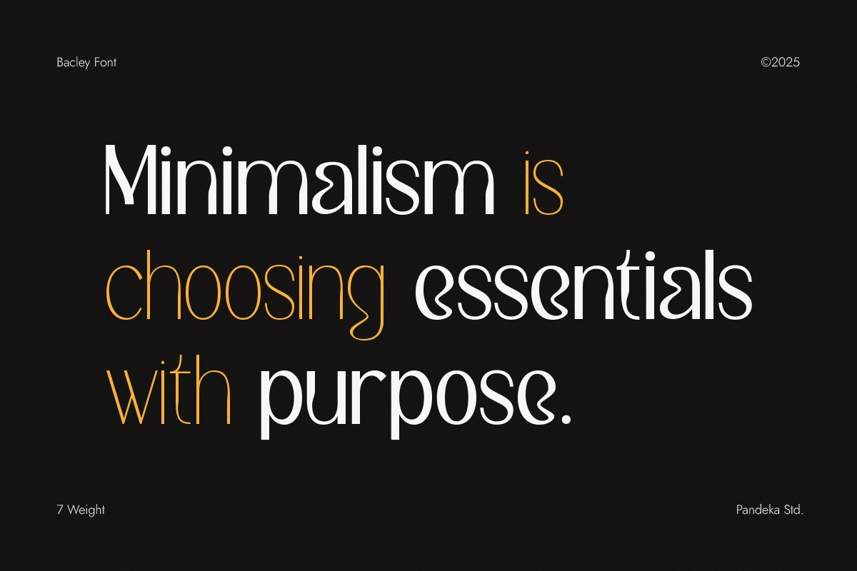 Bacley - Modern Elegant Sans, a Sans Serif Font by Pandeka Studio (Photo 6 of 9)