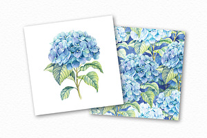 Watercolor Blue Hydrangea