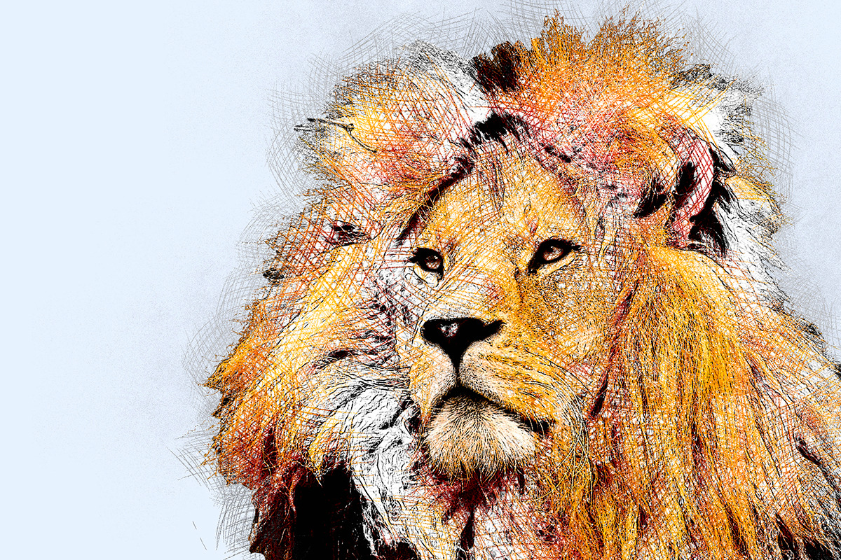 Pencil Sketch Photoshop Action, an Action Add-On by Grishka89 (Photo 5 of 6)