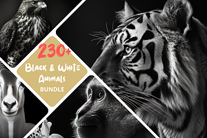 230+ Black & white animals Bundle, an Animal Photo by Virgo Studio