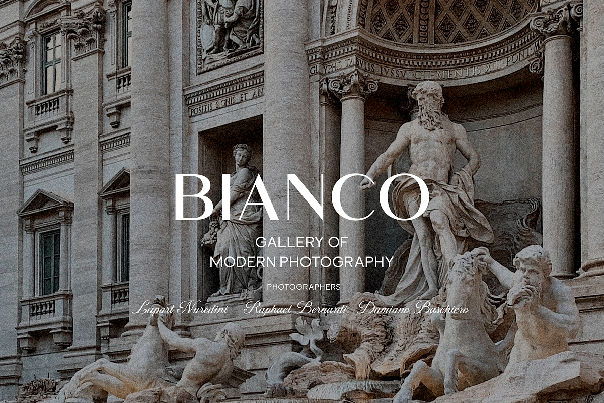 Saldo | Font Family, a Sans Serif Font by Larin Type Co. (Photo 5 of 15)