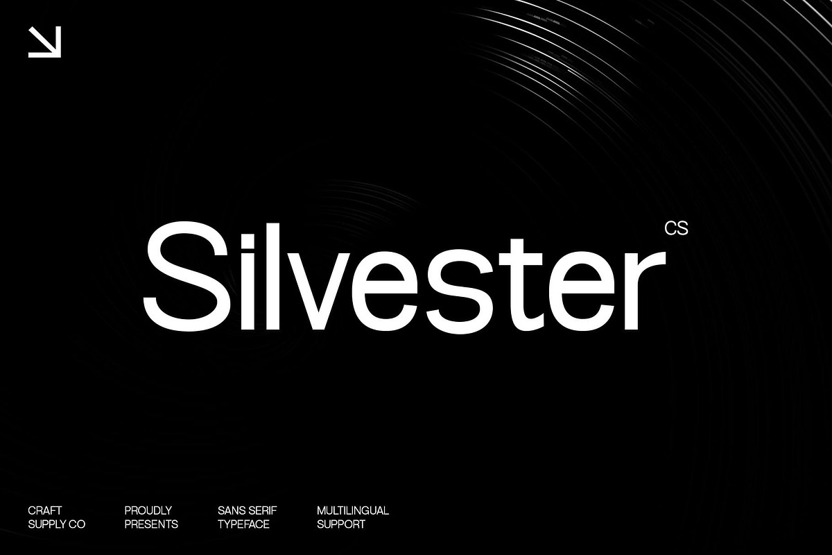 CS Silvester – Geometric Sans Serif, a Sans Serif Font by Craft Supply Co. (Photo 1 of 8)