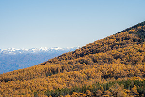 Autumn Landscape Photo Bundle Japan