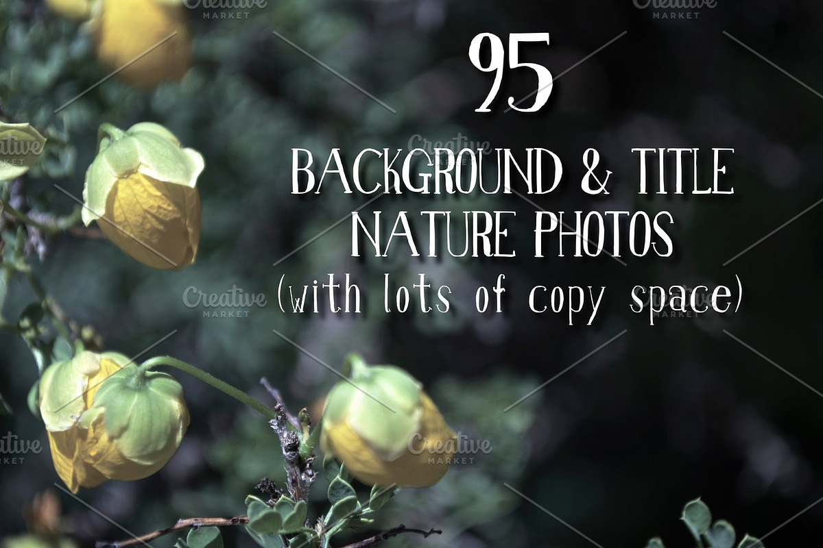 95 Background & Title Nature Photos preview 7