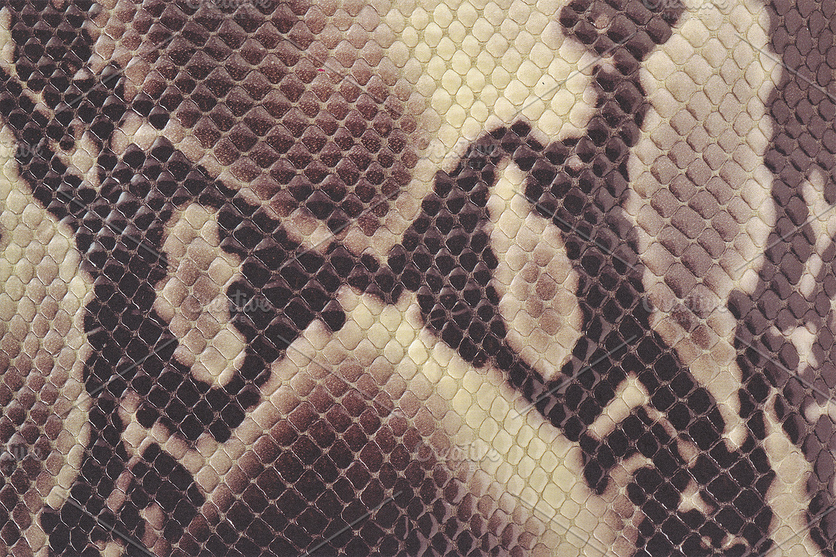 Scales & Skins Textures, a Texture Graphic by Blue Line Design (Photo 2 of 5)