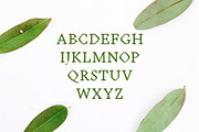 Achazia Serif Font Family Pack, a Serif Font by Creativetacos (Thumbnail 2 of 5)