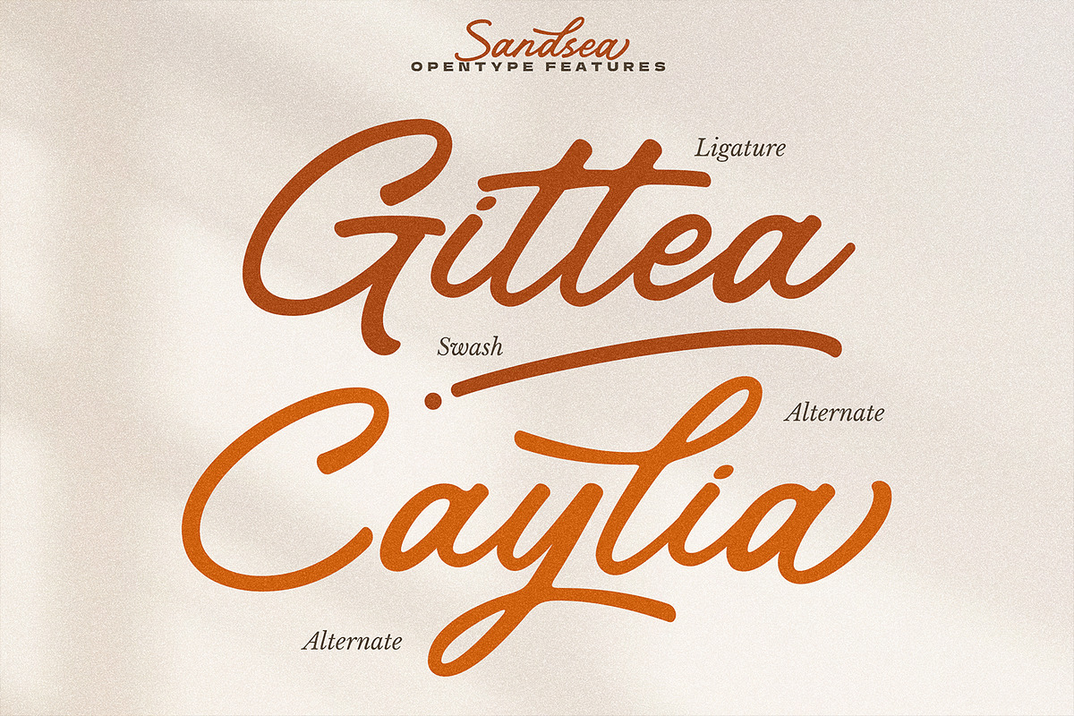 Sandsea Graceful Classic Script, a Script Font by Portocraft (Photo 5 of 10)