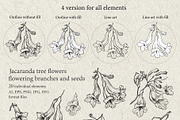 Flowers of Jacaranda. Botanical Set, a Decorative Illustration by ON_lineart_store (Thumbnail 4 of 10)