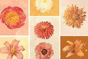 Retro Perennial Vintage Floral PNGs, an Object Graphic by Ashley Alexandra Design (Thumbnail 6 of 9)