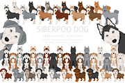 Siberpoo (Siberian Husky Poodle mix), an Animal Illustration by pet design shop (Thumbnail 1 of 6)