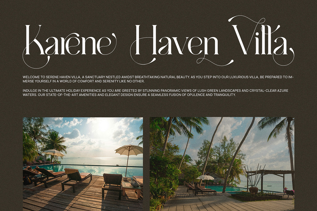 Dragnie Elegant Ligature Serif Font, a Serif Font by Perfectype (Photo 4 of 6)