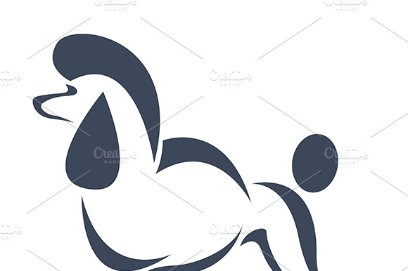 Vector Of A Dog(Poodle). Pet. Animal