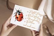 Watercolor Ladybug Clipart, an Illustration by Libby Wishes (Thumbnail 7 of 7)
