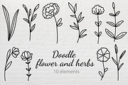 Doodle flowers and herbs bundle, a Decorative Illustration by Tati_Kli (Thumbnail 1 of 3)