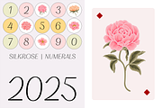 Silkrose - Delicate Display Font, a Sans Serif Font by Artflorara (Thumbnail 10 of 14)
