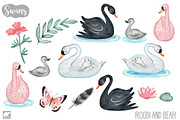 Watercolor Swans, an Illustration by Roodi and Bear (Thumbnail 2 of 2)