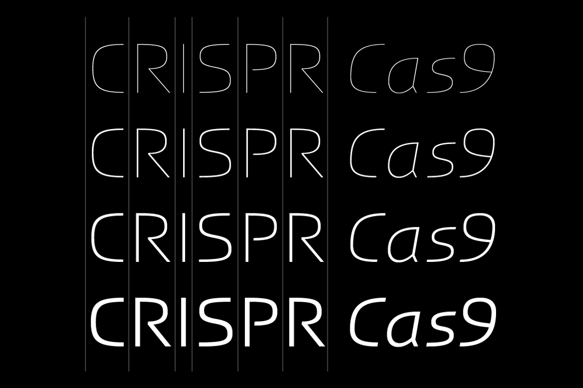 RNS Laxgo, a Sans Serif Font by RNS Fonts (Photo 2 of 9)