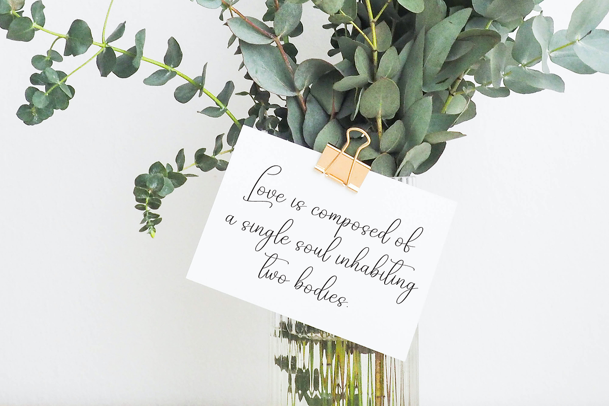 Fallen Angel | Script Font, a Handwritten Font by Scratchones (Photo 3 of 9)