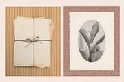 Paper Note—Nostalgic Design Toolkit, an Object Graphic by Basia Stryjecka (Thumbnail 11 of 39)