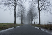 Foggy Day Lightroom Preset, an Action Add-On by Daniel Bartel (Thumbnail 6 of 7)