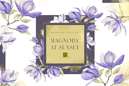 Watercolor magnolia clipart