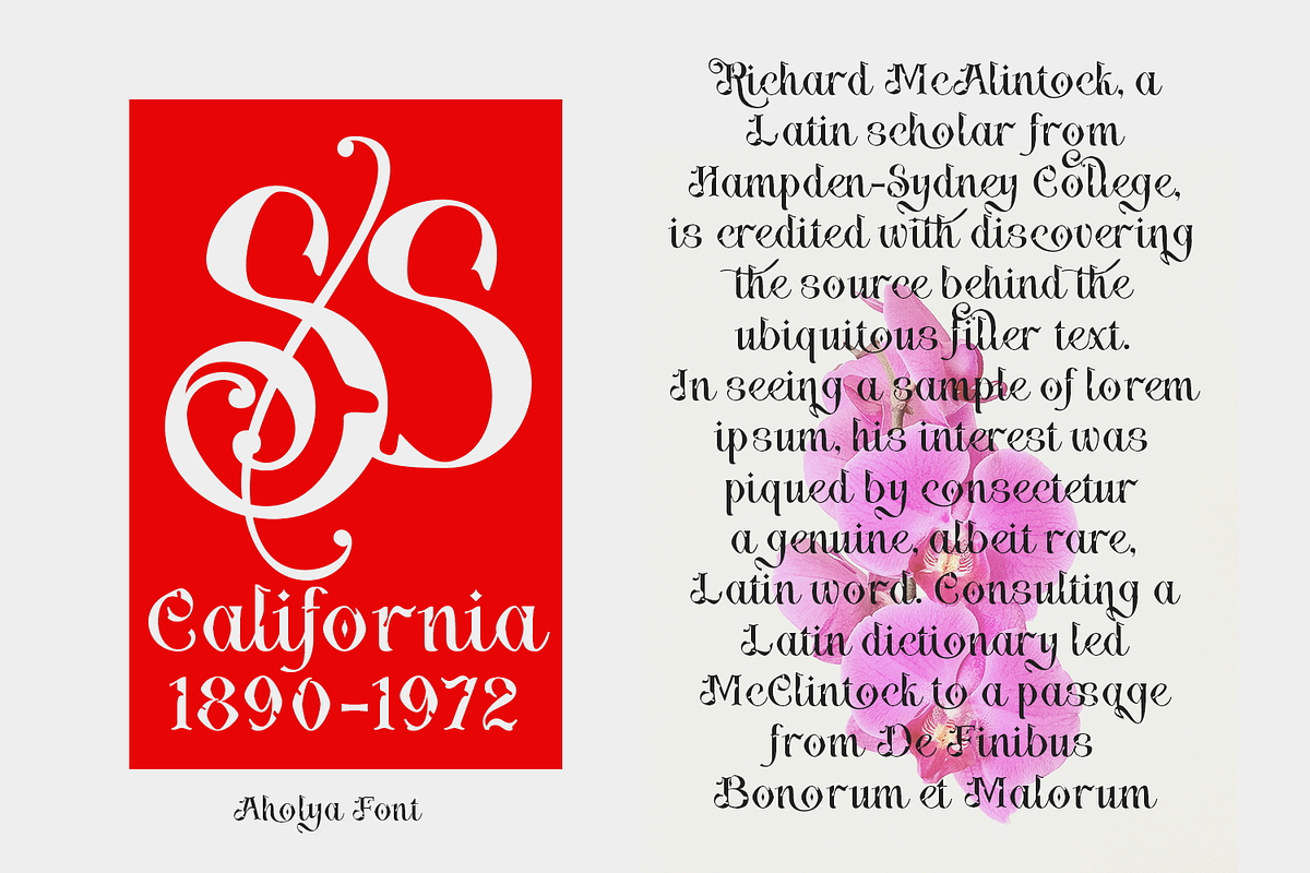 Aholya - Display Font, a Blackletter Font by TypeClassHeroes (Photo 2 of 10)