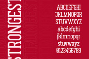 Gluttoner Vintage & Bold Slab Serif, a Serif Font by Lettertype Studio (Thumbnail 6 of 15)