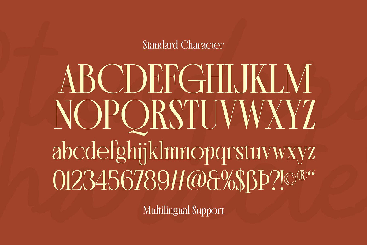 Morside - Modern Classic Serif, a Serif Font by Arterfak Project (Photo 12 of 14)