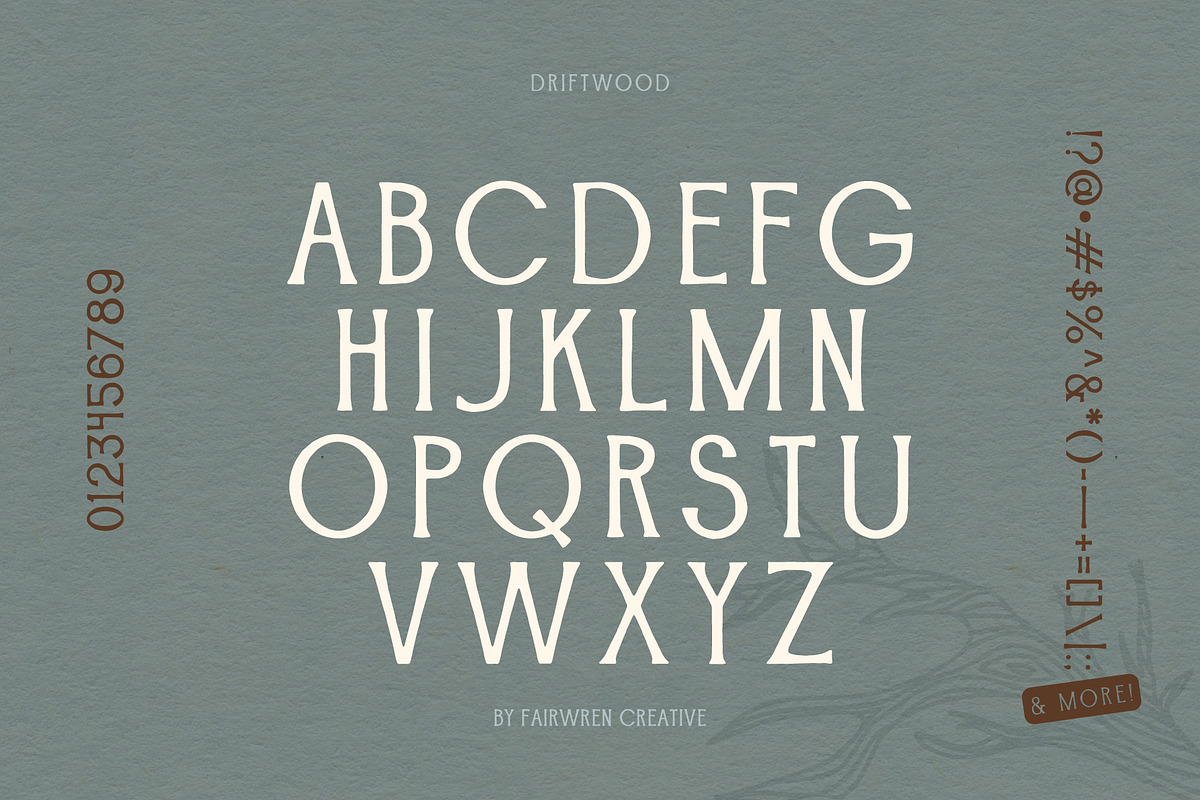 Driftwood, a Serif Font by Fairwren Creative (Photo 2 of 6)