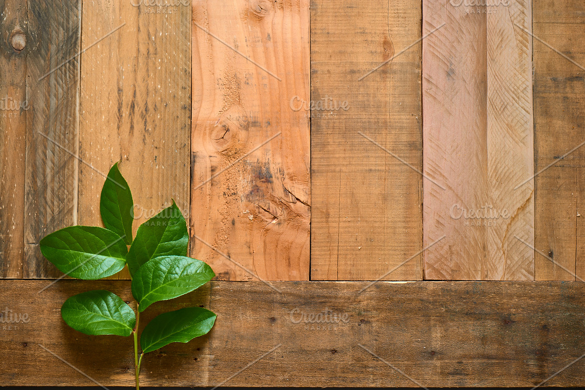 Rustic Flower Photo Set On Wood, a Books & Magazine Mockup by Kudzu Camera (Photo 5 of 6)