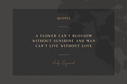 Vendeur - Elegant Serif Font, a Serif Font by Craft Supply Co. (Thumbnail 4 of 10)