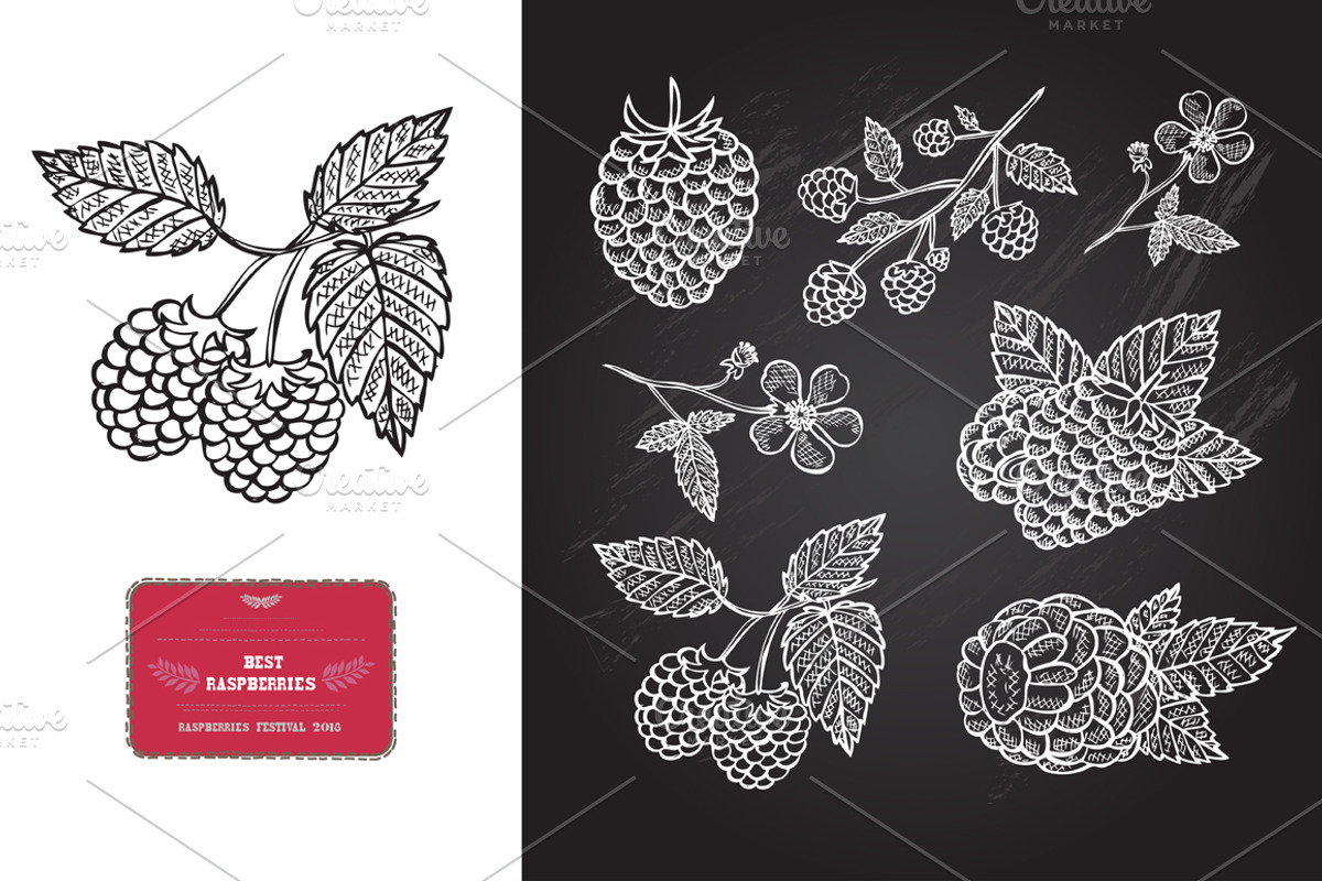Hand Drawn Raspberries, a Food Illustration by Sunset&Sea Design