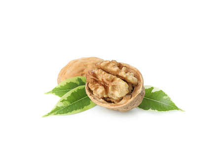 Walnut isolated on white background, close up, a Food & Drink Photo by AtlasStudio PRO