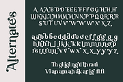 Madeline Forhes - Display Serif, a Serif Font by LuhopCreative (Thumbnail 2 of 16)