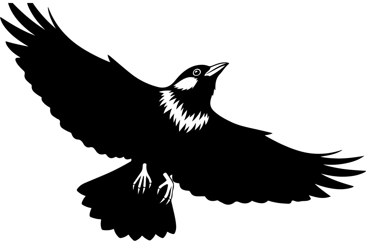 Bird Silhouette Vector Mega Bundle, an Animal Illustration by Designer_Momina (Photo 10 of 21)