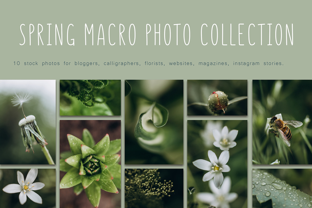 Spring macro collection, a Nature Photo by akovtun (Photo 1 of 7)