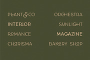 Classy Taylor Typeface, a Serif Font by CCS Type (Thumbnail 23 of 24)