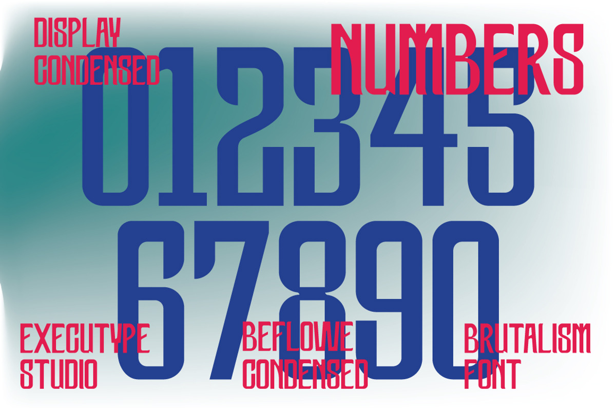Beflowe Condensed Display, a Sans Serif Font by executypeStudio (Photo 2 of 11)