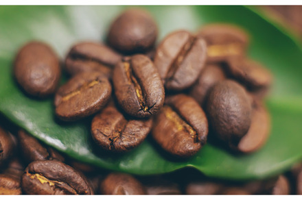 Coffee beans roasted close-up. Drink, a Food & Drink Photo by yanadjana