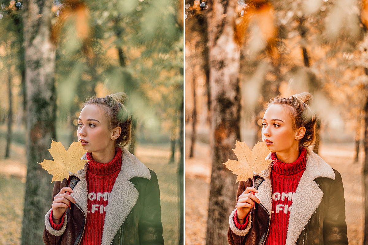 10 AUTUMN VIBES Lightroom Preset, a Preset Add-On by CCPreset (Photo 5 of 6)
