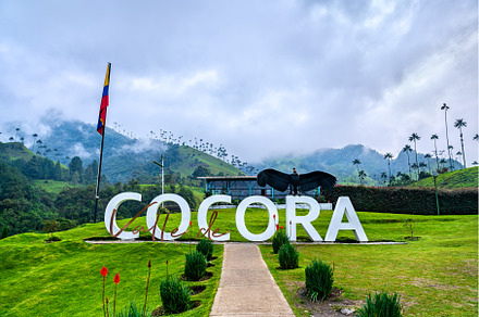 Cocora sign with an Andean condor