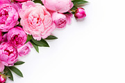 2 Pink Peony Floral Border Backdrop, a Background Photo by Hamza067 (Thumbnail 1 of 3)