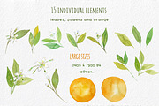 Orange Blossom - Watercolor handmade, an Illustration by MaraquelaStudio (Thumbnail 2 of 6)