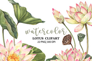 Watercolor Lotus Clipart, PNG