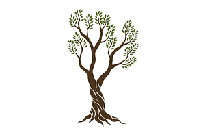 Olive trees with branches and, a Food Illustration by Things for designers
