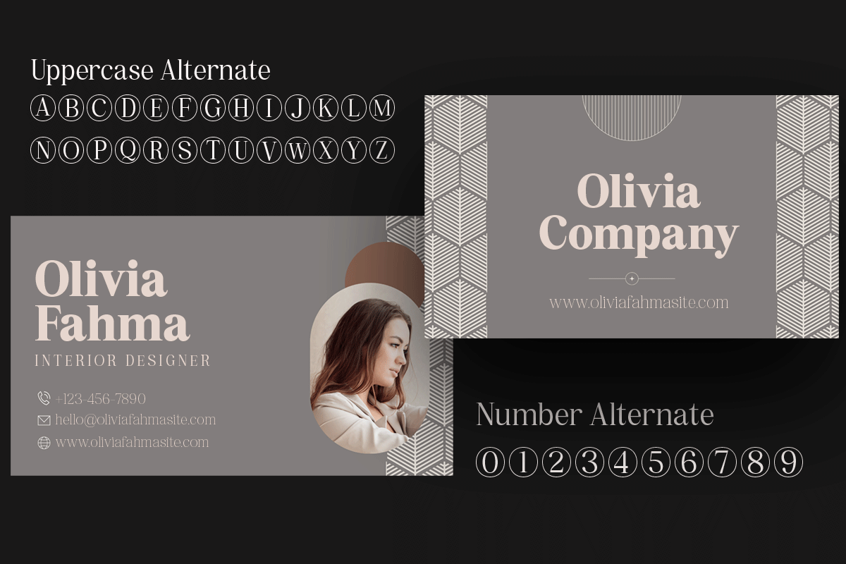 Pujarelah - Serif Family Font, a Serif Font by Differentialtype (Photo 5 of 13)