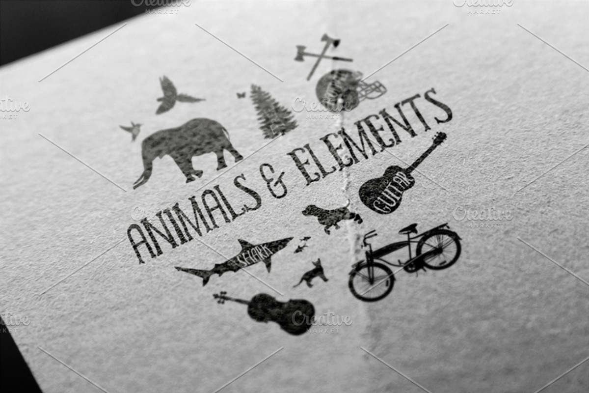 Exclusive Animals & Elements + Extra, an Animal Illustration by Creative Media Co (Photo 3 of 5)