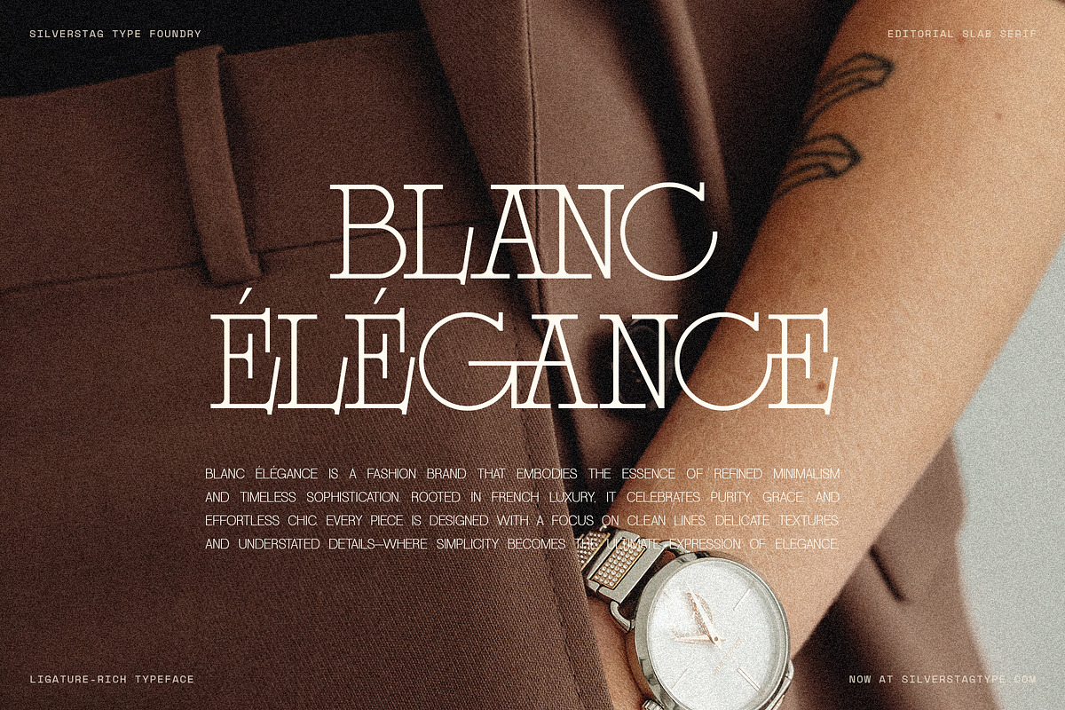Alorisse – Editorial Ligature Font, a Font by SilverStag Type Foundry (Photo 13 of 20)