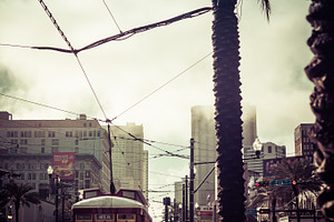 Rainy morning in new orleans featuring new orleans, palm, and rain